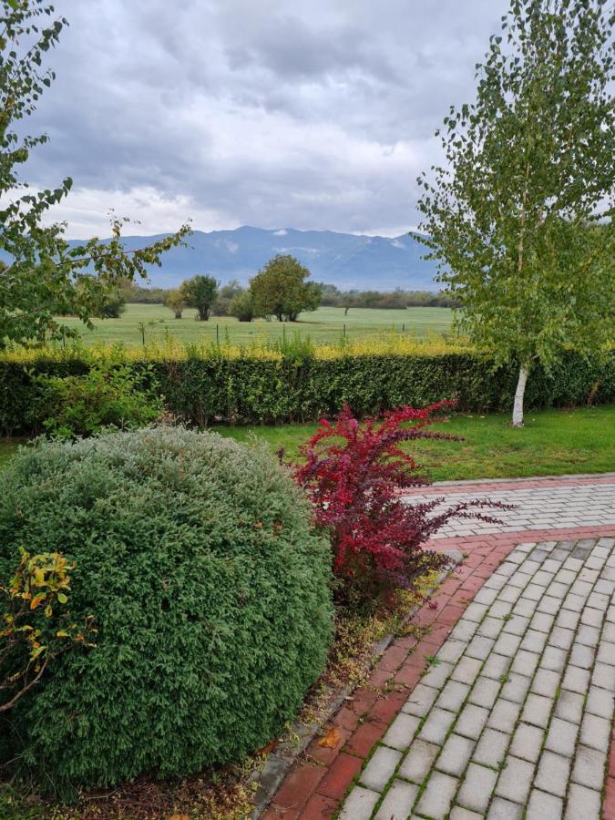 Guesthouse Green Fields جارمين المظهر الخارجي الصورة