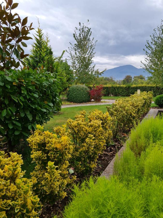 Guesthouse Green Fields جارمين المظهر الخارجي الصورة